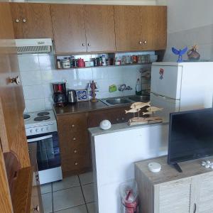 a small kitchen with a white refrigerator and a stove at Captain's View Guesthouse in Kouniádhoi +49 photos