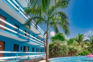a palm tree in front of a building with a swimming pool at Affordable Suite with WiFi Partial AC Shared Rooftop Deck Pool and Grill in Caye Caulker