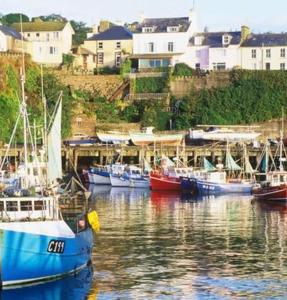 a group of boats are docked in a harbor at Dunmore East Studio in Rathmoylan