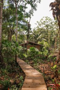 a wooden path through a forest with a building at Madre Selva Eco Lodge in Nuquí