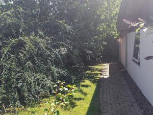a walkway next to a house with trees at 4 star holiday home in Hundested in Hundested