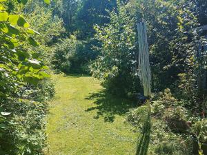 a garden with a cactus sidx sidx sidx sidx sidx sidx sidx sidx at 4 star holiday home in Hundested in Hundested +3 photos