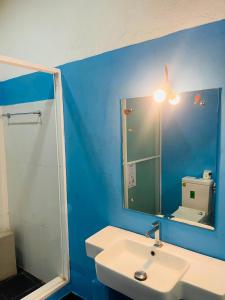 a blue bathroom with a sink and a mirror at FEEL Villa in Kalutara