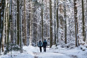 two people walking down a path through a snow covered forest at Landal Arber in Zwiesel