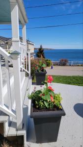 a porch with two potted plants and the ocean at Oceanfront Classic Maine Cottage In Close Walking Distance To Beaches! in York