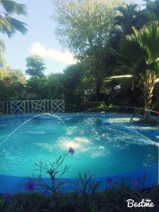 Swimming pool sa o malapit sa Hotel Ometepetl