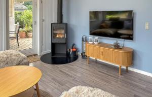 a living room with a fireplace and a tv at Gorgeous Home In Haderslev With Wifi in Haderslev