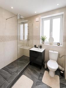 a bathroom with a toilet and a sink and a shower at Studio Zoo & Châteaux in Faverolles-sur-Cher +8 photos