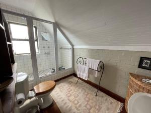 a bathroom with a shower and a toilet and a sink at Love Nest In Pringle Bay in Pringle Bay +66 photos