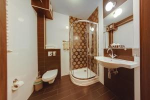 a bathroom with a sink and a shower and a toilet at Hotel Restauracja Biały Las Wierzbna in Żarów