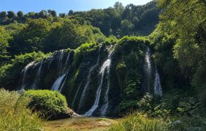 a waterfall in the middle of a forest at Umbria Montefranco in Montefranco