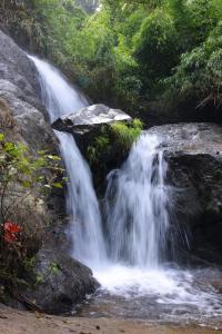 a waterfall in the middle of a forest at Glen Brooks Resorts in Calicut