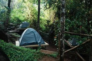 a blue tent in the middle of a forest at Glen Brooks Resorts in Calicut