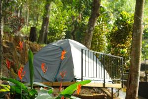 a tent in the middle of a garden with flowers at Glen Brooks Resorts in Calicut +5 photos