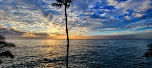 a palm tree in front of the ocean at sunset at Check In, Chill Out - Annies Surf Shack Awaits! in Kahana