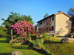 A garden outside Ca Borgh