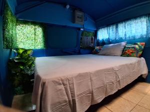 a bedroom with a bed in a blue room at Villa La Patrona in Parrita