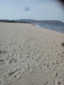 a beach with footprints in the sand and the ocean at Belle maison bord de mer rdc in El Haouaria