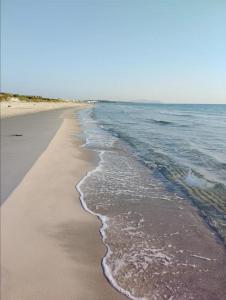 a beach with the ocean and the shoreline at Dari in El Haouaria