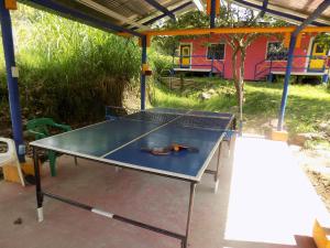 una mesa de ping pong sentada bajo un pabellón en Posada La Loca Compañía, en Salento