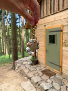 a person holding a key to a house with a door at Glamping Olivia v lese in Radíč