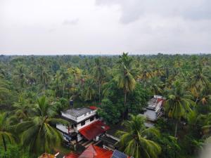 an aerial view of a village with palm trees at krishna madhavam in Guruvāyūr