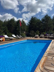 a blue swimming pool with chairs and a flag at Paežerės istorijos near Druskininkai in Veršiai