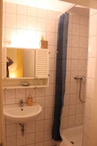 a bathroom with a sink and a shower at HerrBerge Pilgerglück in Eibenstock +53 photos