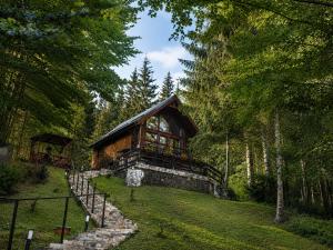 a cabin in the woods with a stone path leading to it at Wild House in Sinaia