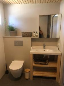 a bathroom with a sink and a toilet and a mirror at Atelier Markelo in Markelo +24 photos
