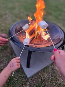 two people are roasting marshmallows over a fire at Readers Field Glamping in Great Sampford