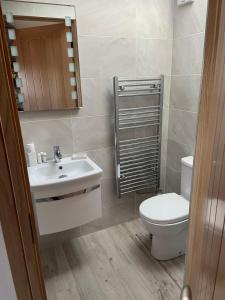 a bathroom with a white toilet and a sink at Dun Aengus Cottage on the Cliffs of Moher in Liscannor +44 photos