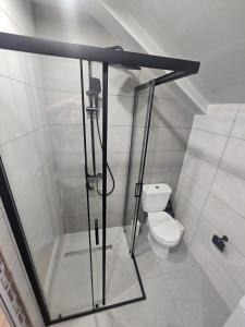 a bathroom with a shower with a toilet at George House in Batumi