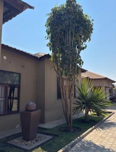 a house with two trees in the yard at JAYNIEL Apartments #2 in Lusaka +6 photos