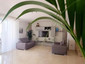 a living room with two couches and a tv at Vianova Affittacamere in Giurdignano