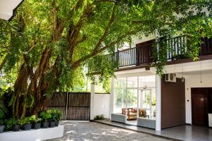 a large tree in the courtyard of a house at Rainbow Safari & Lodge in Udawalawe