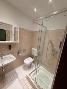a bathroom with a shower and a toilet and a sink at Waldhotel Bad Jungbrunn in Tristach +48 photos