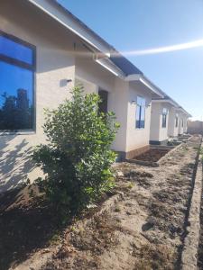 a house with a bush in front of it at Blue Dhow Villas in Paje