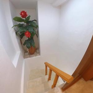 eine Treppe mit einer Vase, in der eine Pflanze steht in der Unterkunft Suites Sol y Luna in Cancún