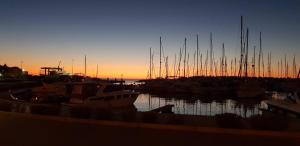 a group of boats docked in a marina at sunset at Houseboat Dolce Vita in Novigrad Istria