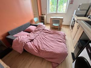 a small bedroom with a bed with a pink comforter at nid doré in Calais