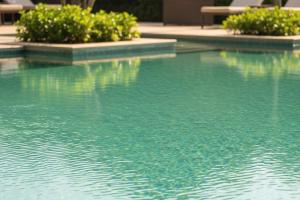 a swimming pool with green water in a building at Alivaa Heritage Lotwara Fort - Near Shri Mehandipur Balaji Temple in Dausa