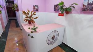 a white counter with potted plants on it at Mysore Nivas - ADH in Mysore