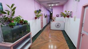 a corridor with a fish tank in a room with plants at Mysore Nivas - ADH in Mysore