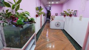 a corridor with potted plants in a room at Mysore Nivas - ADH in Mysore