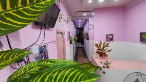 a room with pink walls and green plants at Mysore Nivas - ADH in Mysore +97 photos