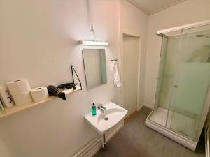 a bathroom with a sink and a shower at Ilulissat Harbour Stay in Ilulissat