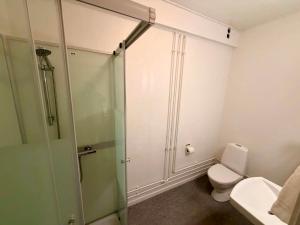 a bathroom with a shower and a toilet and a sink at Ilulissat Harbour Stay in Ilulissat