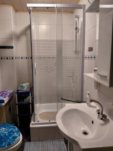 ein Badezimmer mit Dusche, Waschbecken und Toilette in der Unterkunft Apartman 1 RIBIČ in Ogulin + 25 Fotos