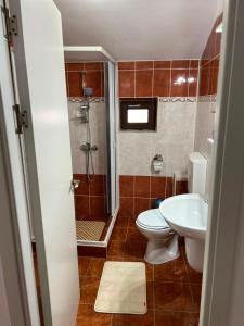 a bathroom with a shower and a toilet and a sink at Casa Dyny 2 Mai in 2 Mai